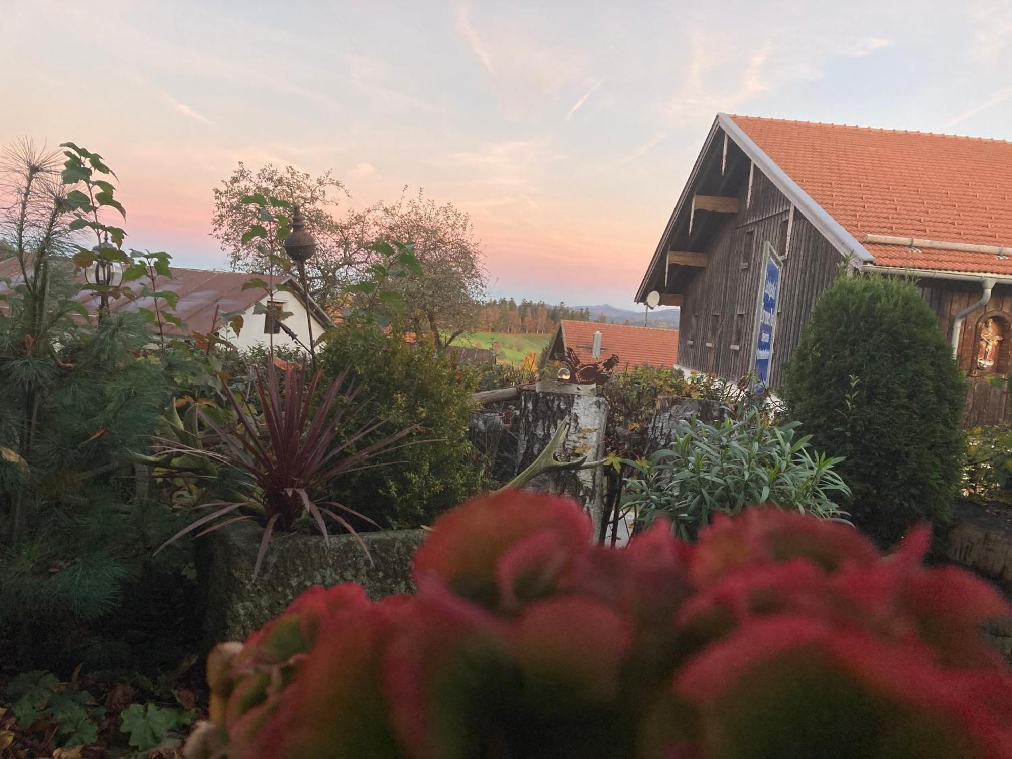 Zur Neuen Post Landgasthof Herzogsreut Kültér fotó