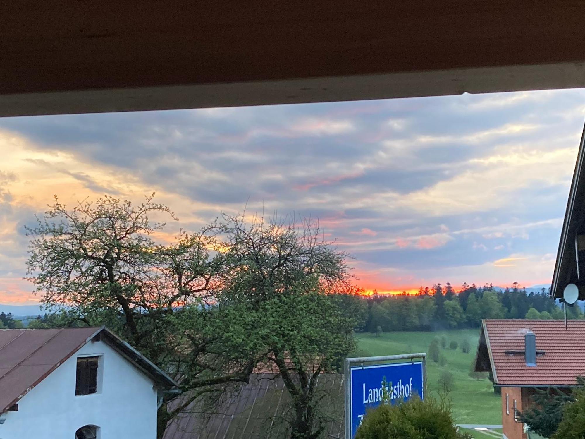 Zur Neuen Post Landgasthof Herzogsreut Kültér fotó