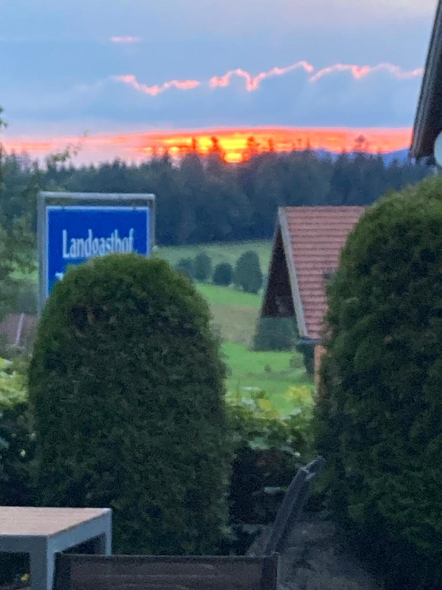 Zur Neuen Post Landgasthof Herzogsreut Kültér fotó